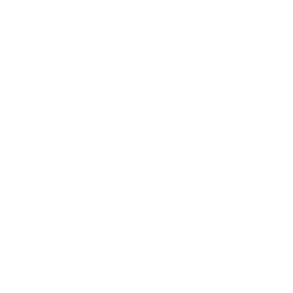 The Home Depot
